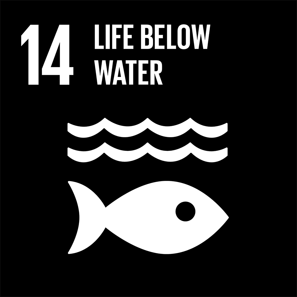 SDG 14: Life Below Water