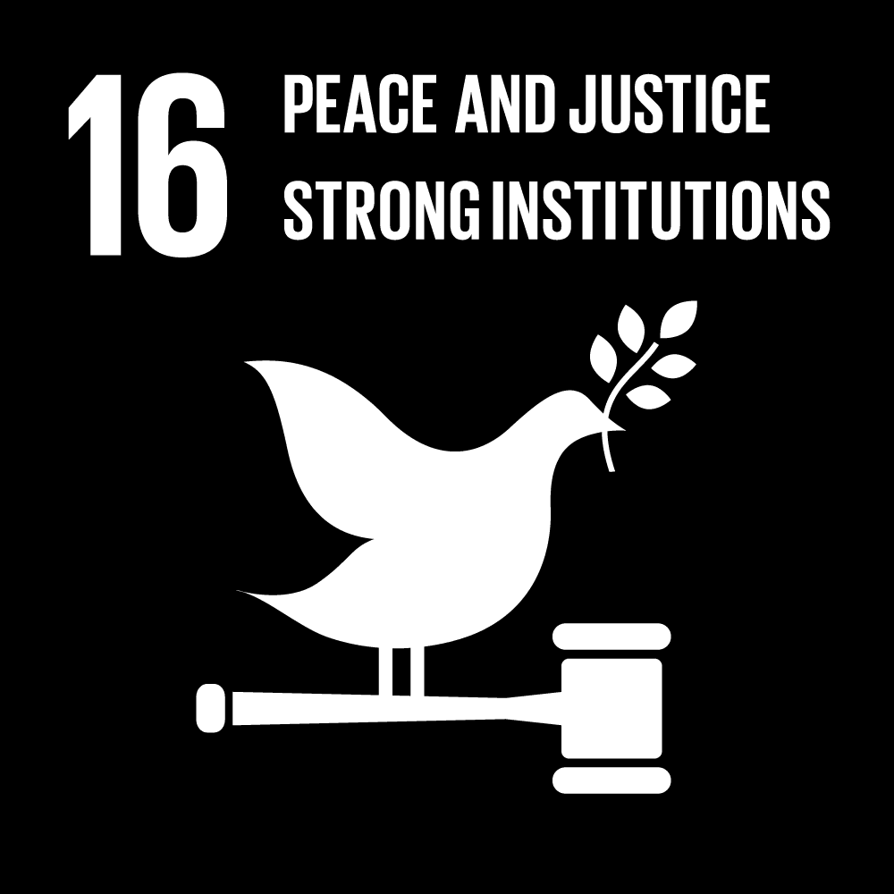 SDG 16: Peace, Justice and Strong Institutions